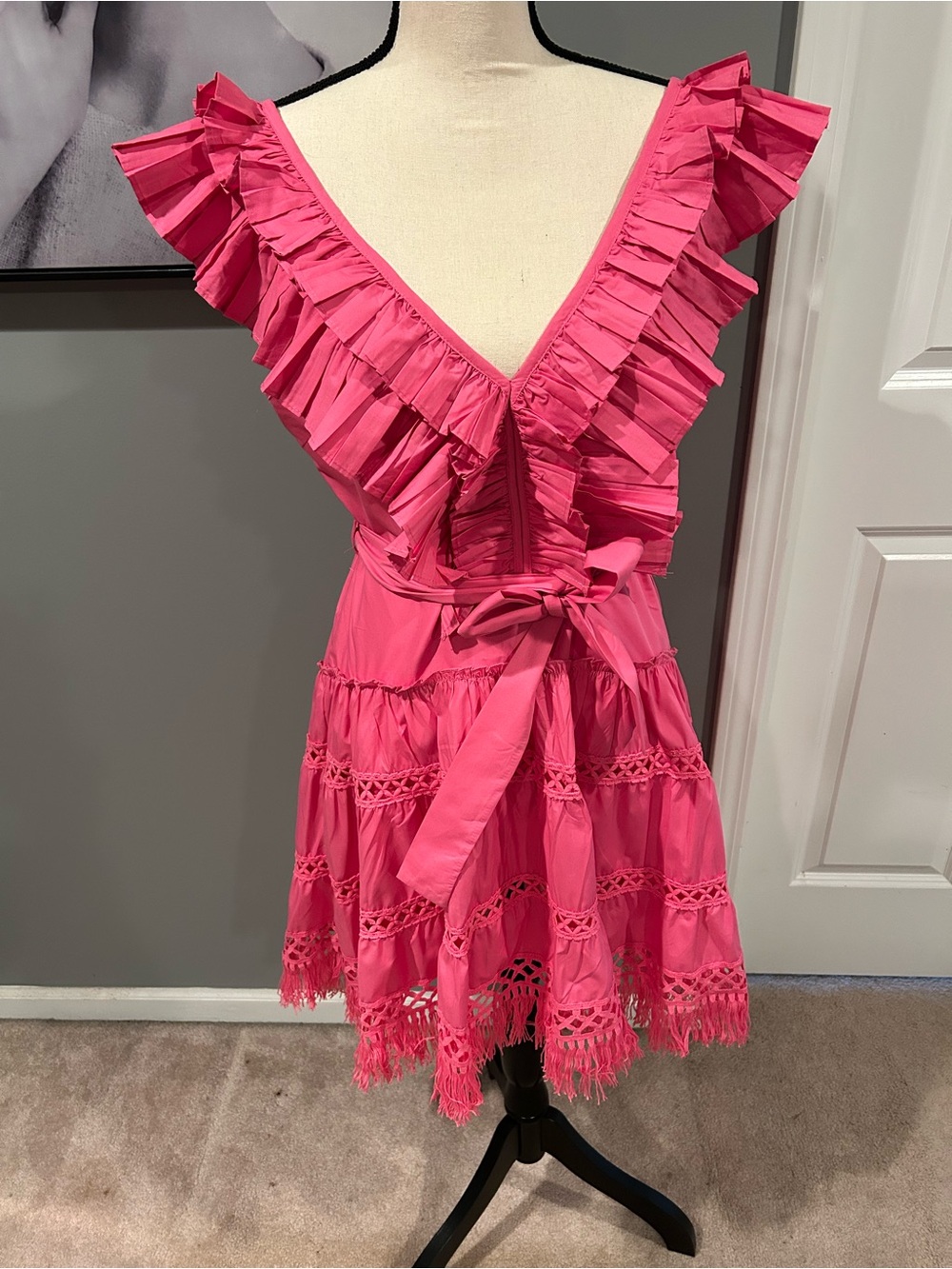 Pink Ruffled V-Neck Mini Dress - Picture 4 of 9